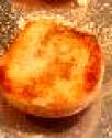Fruited Brown Bread